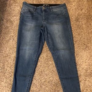 Wit & Wisdom Ab-Solution Jeans